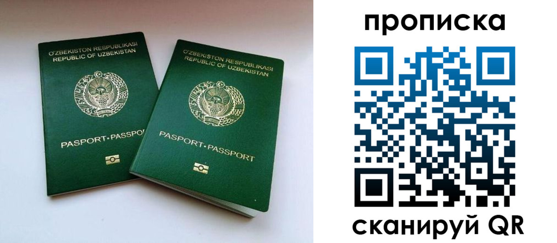 прописка поиск в Палласовке